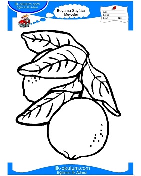 Çocuklar İçin Limon Boyama Sayfaları 